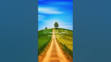 توفني مسلماً وألحقني بالصالحين|سورة يوسف|محمد حسين هاشم|