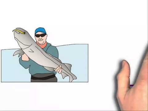 Raising Worms For Fishing 