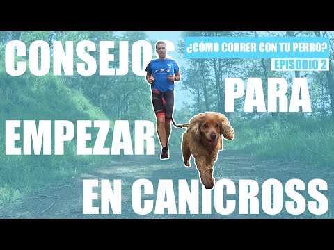 8 Consejos para empezar en canicross | Como correr con tu perro