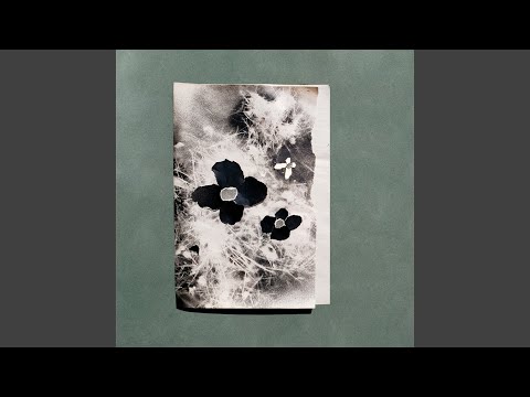 Iceblink — Cellphone in the Bath
