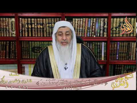 رأ ى الشيخ فى سيف بن عمر التميمى الشيخ مصطفي العدوي