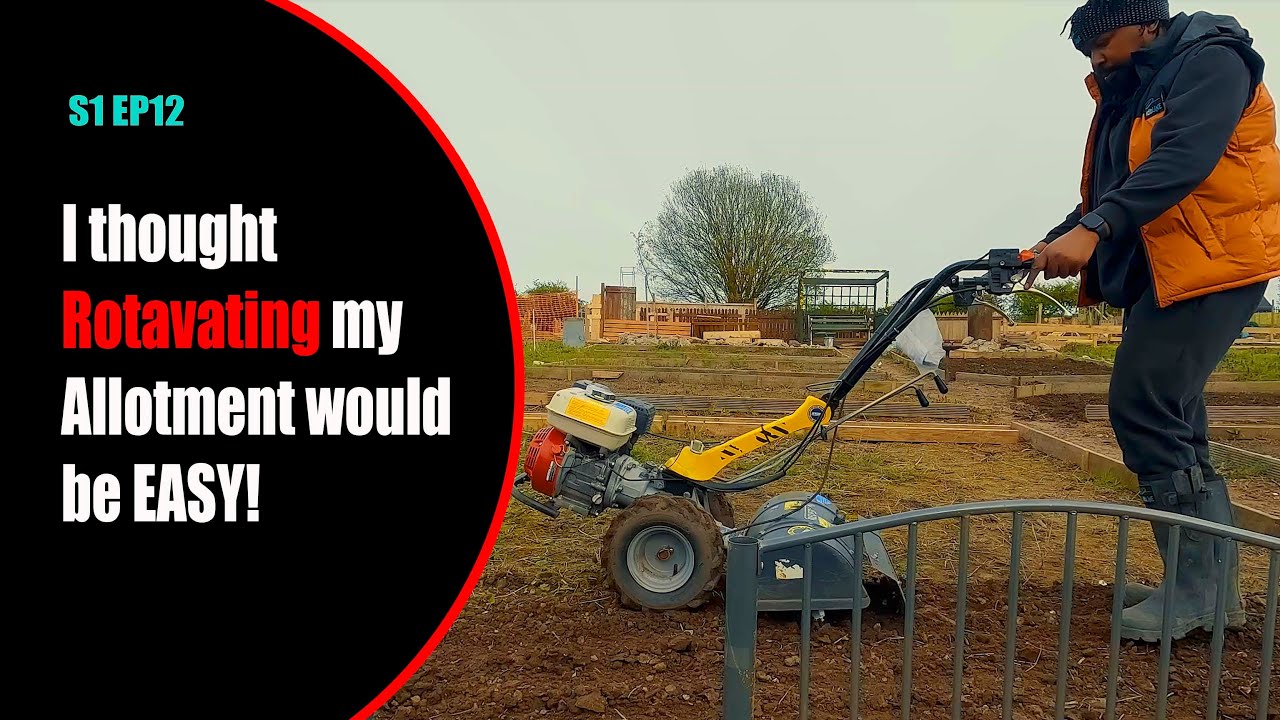 S1 EP12 Is the Jewson's ROTAVATOR worth it for use at the allotment