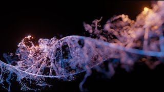 DNA Strand Particles - Blender 2.92