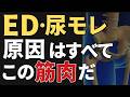 老ける男の共通点は“ここ”が弱っている!ED・尿モレ・便秘…全部“あの場所”が原因だった!