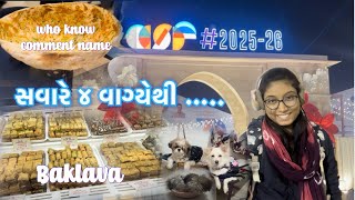 4 vagy ni morning thi 2 day no vlog |dharti086patel |daily vlog 