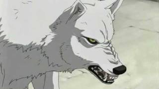 Moonlight shadow - Wolf's rain