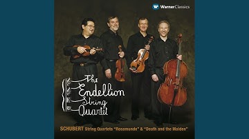 String Quartet No. 13 in A Minor, Op. 29, D. 804 "Rosamunde": I. Allegro ma non troppo