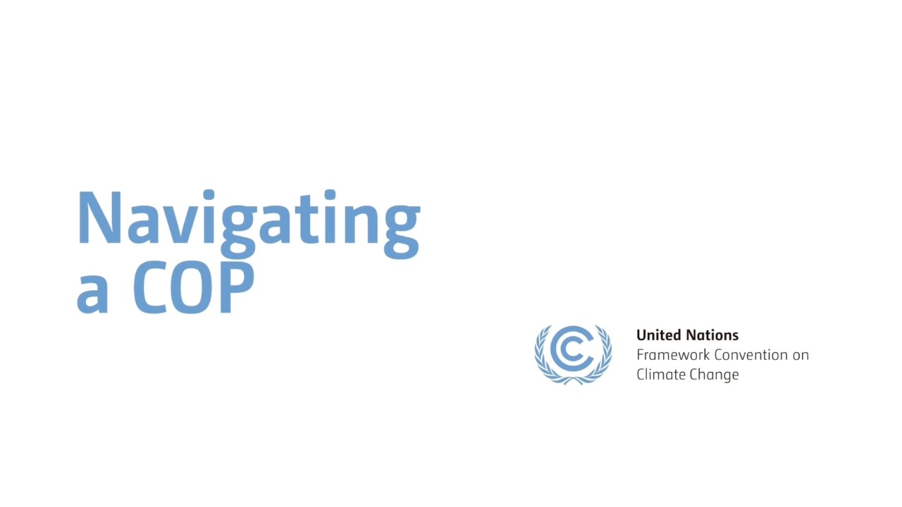 如何参与缔约方会议