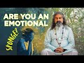 Why Sensitive People Always Feel Drained? I Mohanji