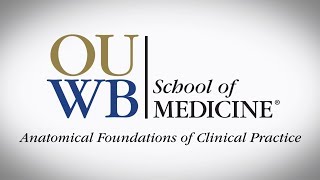 Anatomical Foundations of Clinical Practice