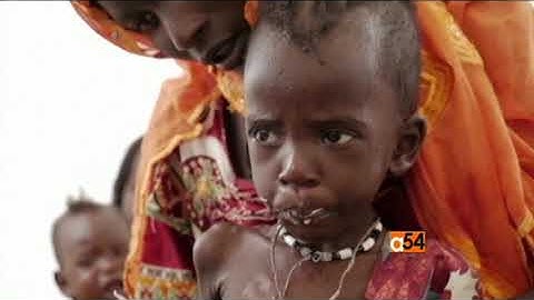 Global Hunger Index Revealed