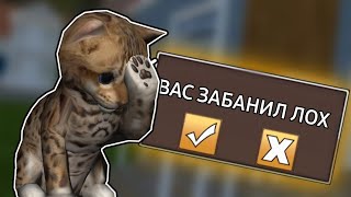 как читеры БАНЯТ в cat simulator animal life | Что будет, если тебя забанят?