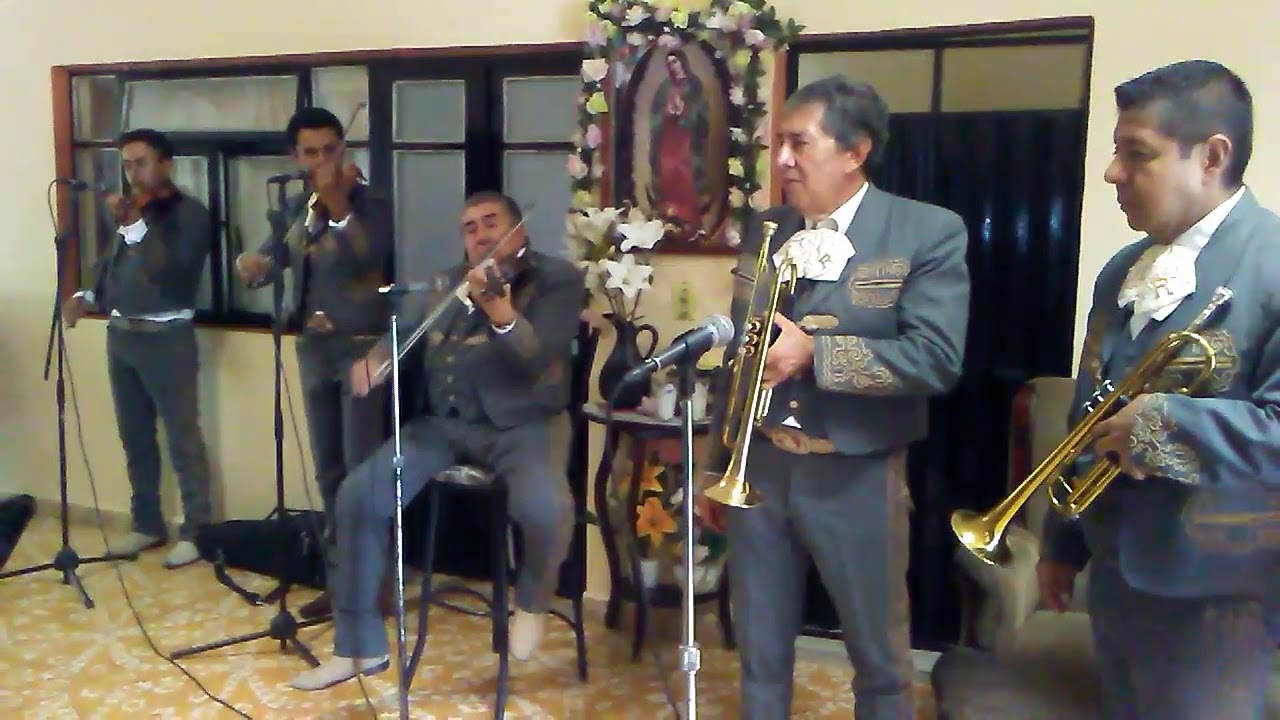 Así fue - Mariachi Reforma