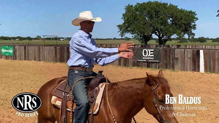 Professional Horse Training with Ben Baldus