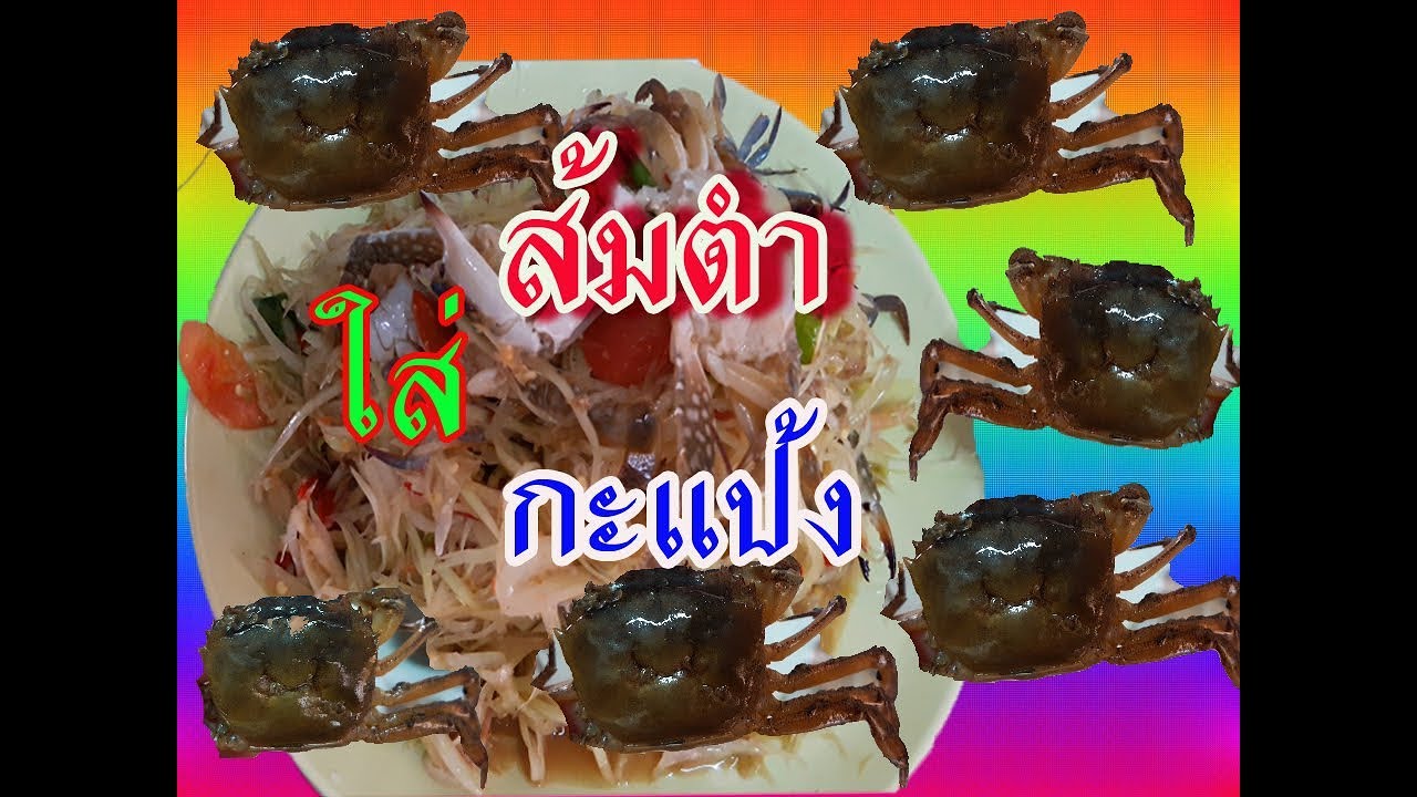  Fern YouTube