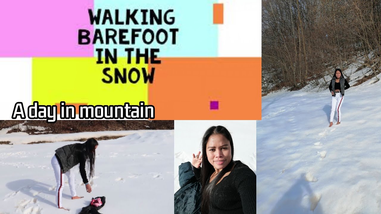 Can Dogs Walk In Snow Barefoot