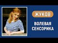 Жуков. Базовая ЧС. Волевая сенсорика. Диагностика по аспектам. Соционика.