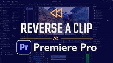 How To Reverse A Video Clip In Adobe Premiere Pro? (2023)