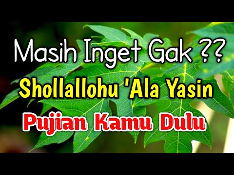 Nada Merdu Shollallohu Ala Yasin Pujian Sebelum Sholat Sholawat Lama Masih Ramai Di Masjid