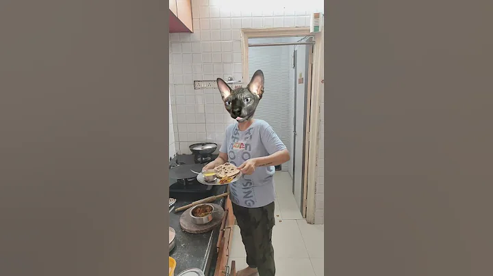 Video 8669401: cute funny sphynx