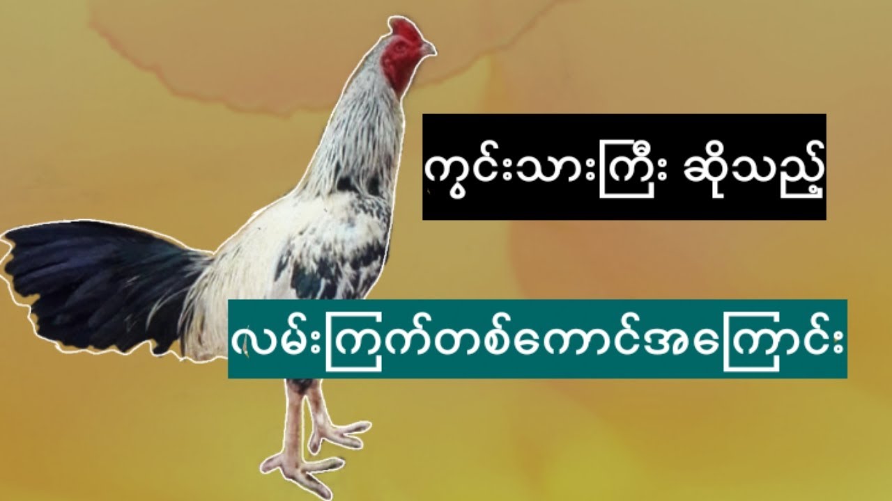 ဦးစိုး၏ ကွင်းသားကြီး