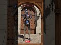Half Sword Boss Fight: Total Carnage