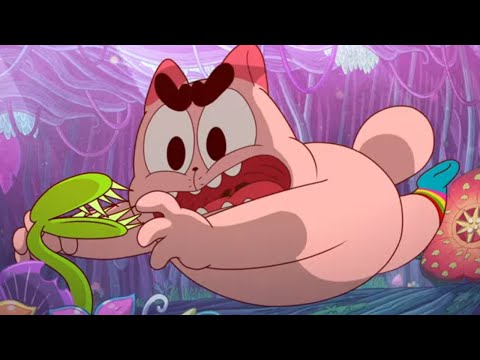 밀림의 왕자 | TATA &amp;<strong>amp</strong>; <strong>KUMA</strong> | 어린이를 위한 만화 | WildBrain 한국어