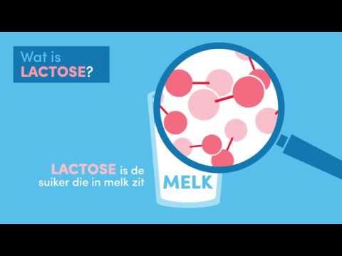 Wat is lactose?