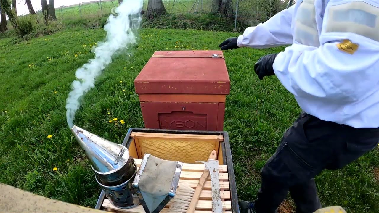 sezon 4 Pasieka w parku, skąd te mateczniki 26.04.2022