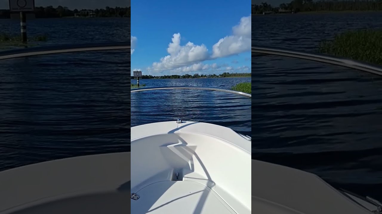  Hokupratt4867 Elizabethneston1236 OfficialBostonWhaler Nestontopshop