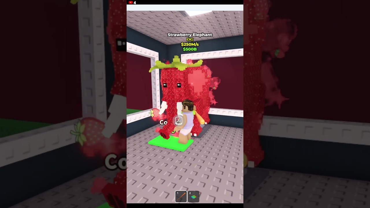 Oh no my pipi kiwi 😭 