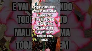 Receba essa oração profética #frasemotivacao #mensagem #deustemumapalavrapravoce #motivacional #fe