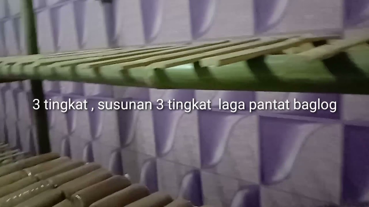 RAK JAMUR TIRAM DARI BAMBU YouTube