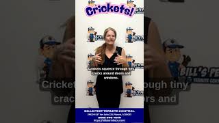 How to Keep Crickets Out of Your Arizona Home | Cricket Control Tips &amp; Tricks