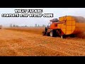 Real Village Farming | Wheat Crop Full Process#farming WheatFarming #WheatProcess #Harvesting