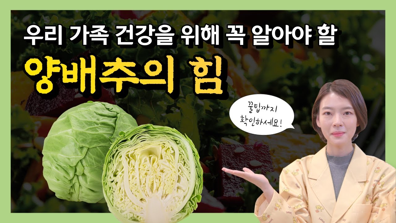 양배추 효능을 극대화할 수 있는 필수 상식들 꼭 알아두세요~!‍⚕️  [위 건강, 효능, 요리 방법, 주의 사항, 보관 방법 꿀팁]