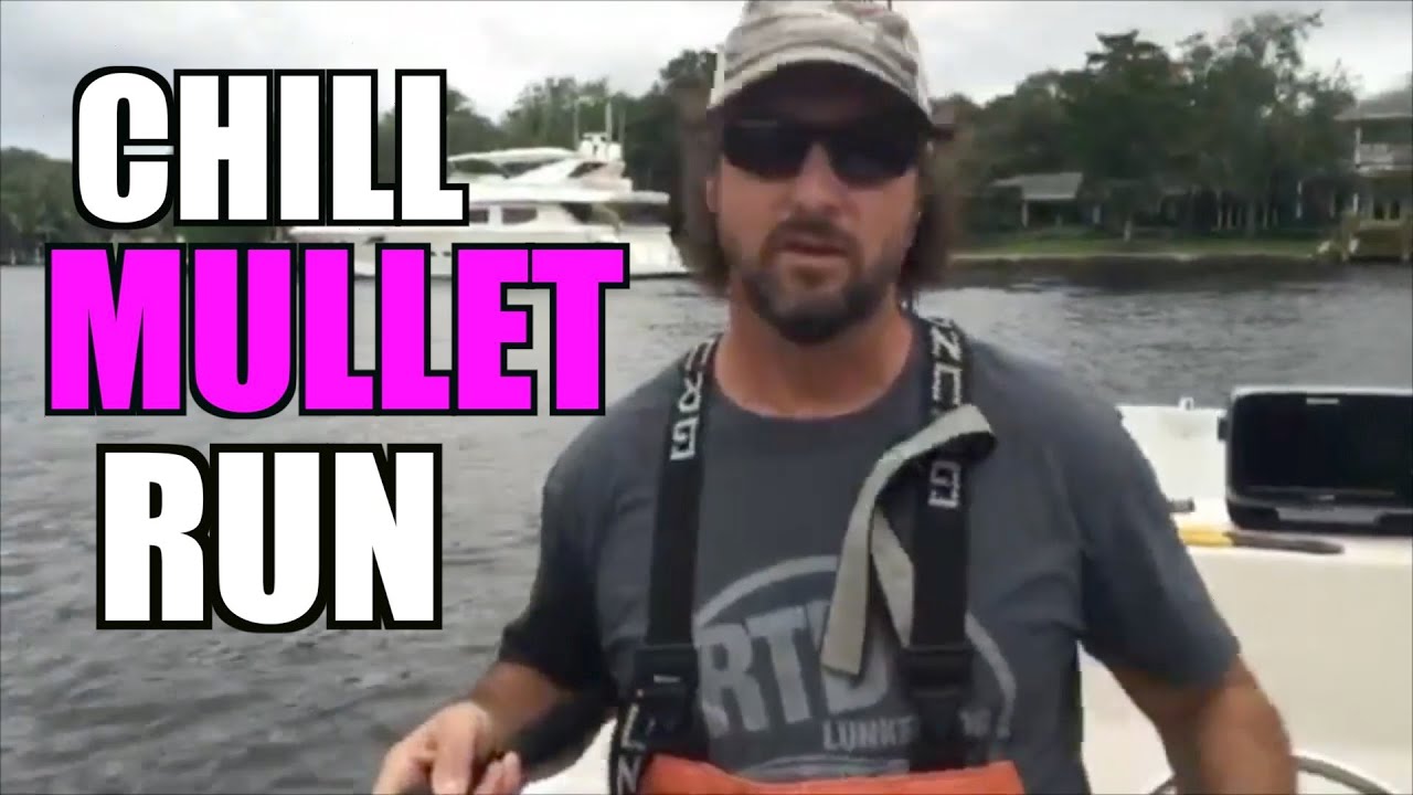 Florida Mullet Run Inshore Footage YouTube