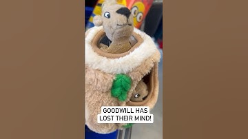Goodwill has lost their mind! 🤪 #goodwill Price written in SHARPIE marker on the stuffed animal
