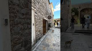 Tiny Streets, Morning Silence & a Ginger Cat 🐈