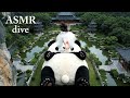 【巨大ぬいぐるみダイブ】 どの動物に飛び込みたい?|Which animal would you like to jump into?(Full ver.)