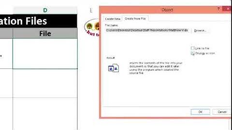 Embedded Objects | Excel Tips & Tricks 27