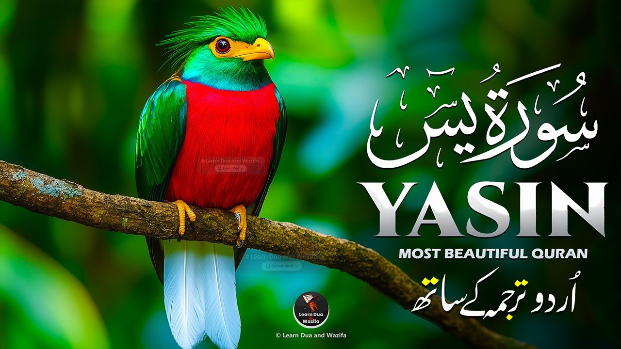 سورة يس ❤️ Surah Yaseen | Heart-Touching Quran Recitation | #surahyaseen