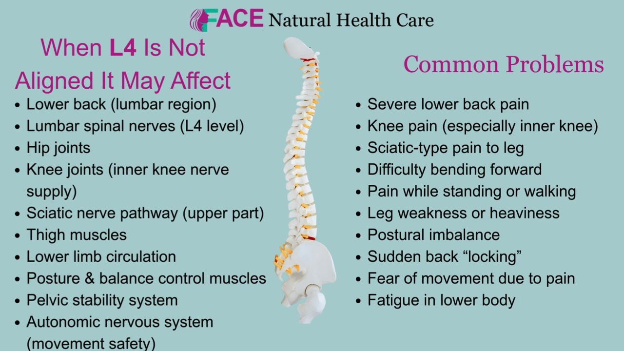 spine awareness video L4