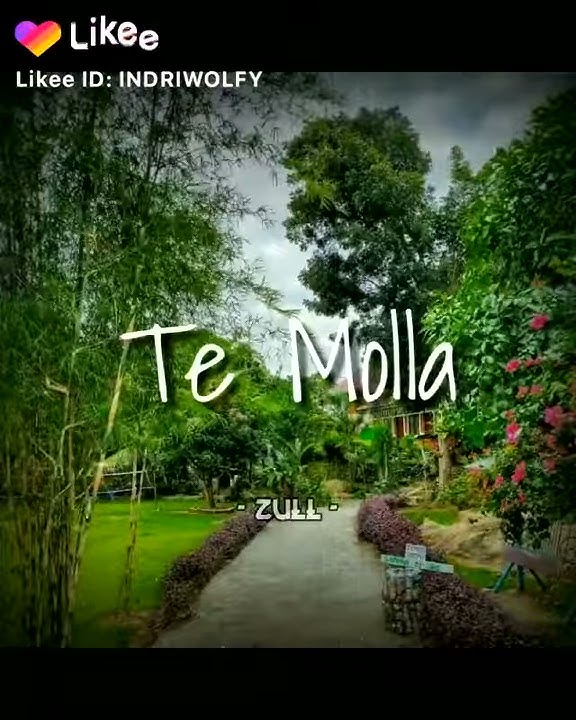 Ccp and lagu and tiktok di tahun 2020💥(10)