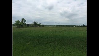 4743 Davis Lane video tour