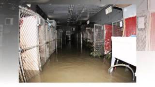 2013 Morrow Shelter Floods