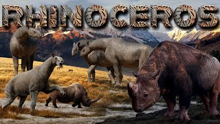 Evolution of RHINOCEROS