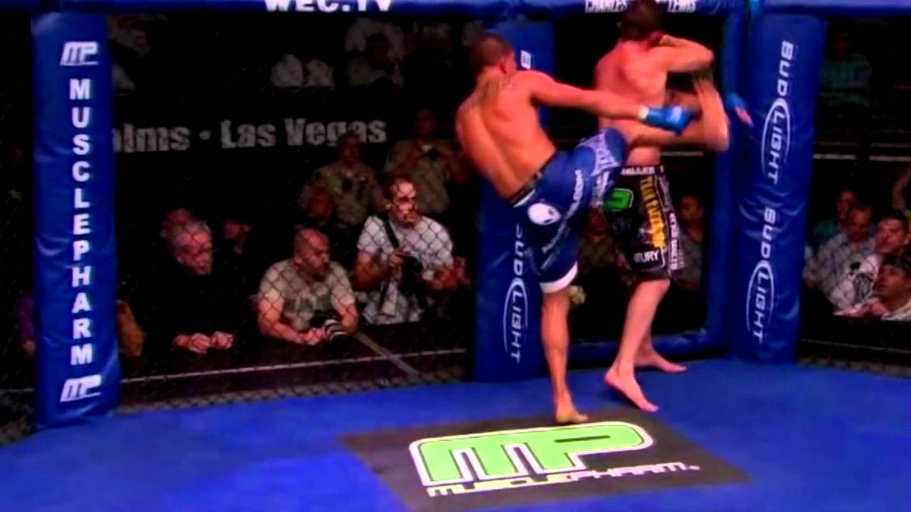 UFC Showtime High kick ! OW ! YouTube