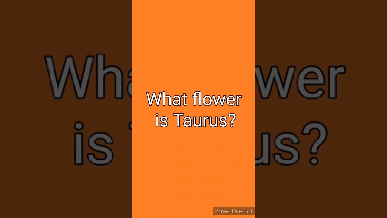 ♉ What flower is Taurus?