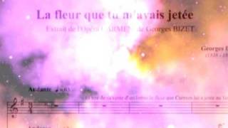 カラオケdeフランスオペラ フランスオペラの楽しみ